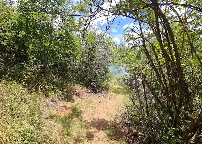 Robin Cottage Da Gama Lake